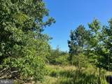 11050 Demarr Homestead Drive - Photo 4