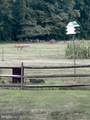 986 Everetts Corner Road - Photo 37
