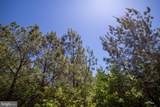 TBD Appletree - Photo 23