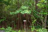 TBD Trents Cemetery Road - Photo 11