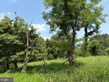 Lot 24A 3.22 AC Fox Run - Photo 10
