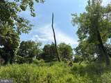 Lot 24A 3.22 AC Fox Run - Photo 12