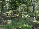Lot 24A 3.22 AC Fox Run - Photo 13