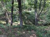 Lot 24A 3.22 AC Fox Run - Photo 14