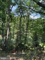 Lot 24A 3.22 AC Fox Run - Photo 15