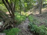 Lot 24A 3.22 AC Fox Run - Photo 17