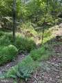 Lot 24A 3.22 AC Fox Run - Photo 18
