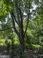 Lot 24A 3.22 AC Fox Run - Photo 23