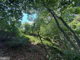 Lot 24A 3.22 AC Fox Run - Photo 24