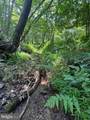 Lot 24A 3.22 AC Fox Run - Photo 28