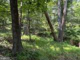 Lot 24A 3.22 AC Fox Run - Photo 29