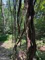 Lot 24A 3.22 AC Fox Run - Photo 30