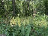 Lot 24A 3.22 AC Fox Run - Photo 31