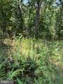 Lot 24A 3.22 AC Fox Run - Photo 32