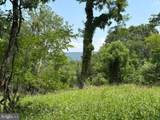Lot 24A 3.22 AC Fox Run - Photo 9