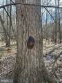0 Peggy Neck Road - Photo 13