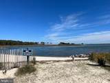 26733 Sharkstooth Drive - Photo 20