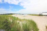 26733 Sharkstooth Drive - Photo 21