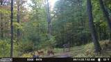 00 Carlisle Gap Road - Photo 39