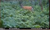 00 Carlisle Gap Road - Photo 41