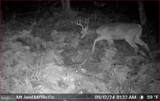 00 Carlisle Gap Road - Photo 43