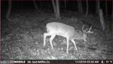 00 Carlisle Gap Road - Photo 44