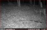 00 Carlisle Gap Road - Photo 45