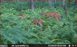 00 Carlisle Gap Road - Photo 46