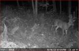 00 Carlisle Gap Road - Photo 47