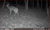 00 Carlisle Gap Road - Photo 49