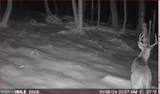 00 Carlisle Gap Road - Photo 50