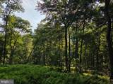 00 Carlisle Gap Road - Photo 52