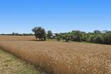 2519 & 2511 Robert Arthur Road - Photo 48