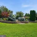 5325 Hollow Tree Lane - Photo 49
