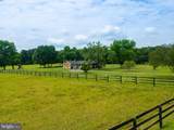43581 Lost Corner Road - Photo 48