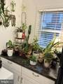 3251 Tampa Street - Photo 10