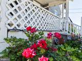 216 Fulton Street - Photo 30