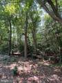 107 Vega Way - Photo 1