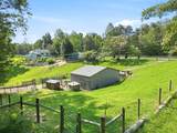 2137 Belvedere Drive - Photo 81