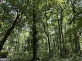  Peters Corner Road - Photo 4