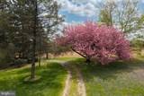 394 Street Road - Photo 11