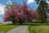 394 Street Road - Photo 20