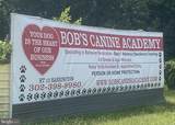 Bob's Canine Academy - Photo 1
