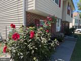 117 Old Dominion Drive - Photo 7