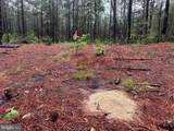 7154 Snow Hill Road - Photo 14