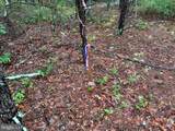 7154 Snow Hill Road - Photo 16