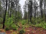 7154 Snow Hill Road - Photo 24