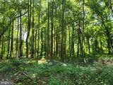  Point Lookout Road - Photo 10
