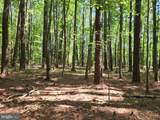  Point Lookout Road - Photo 11