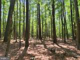  Point Lookout Road - Photo 19